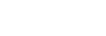 The Search Bar