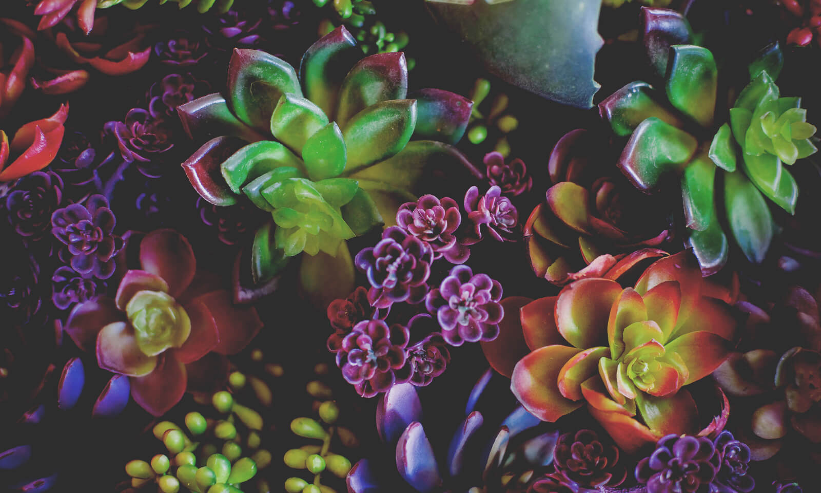 How to Increase Social Media Engagement Organically