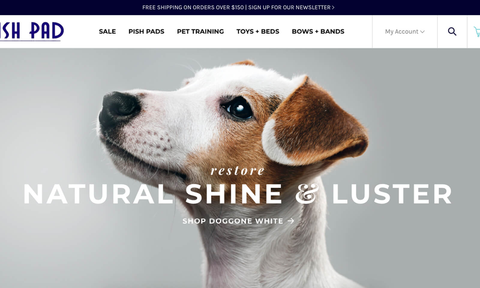 Our 4 Favorite Minimalist Ecommerce Sites
