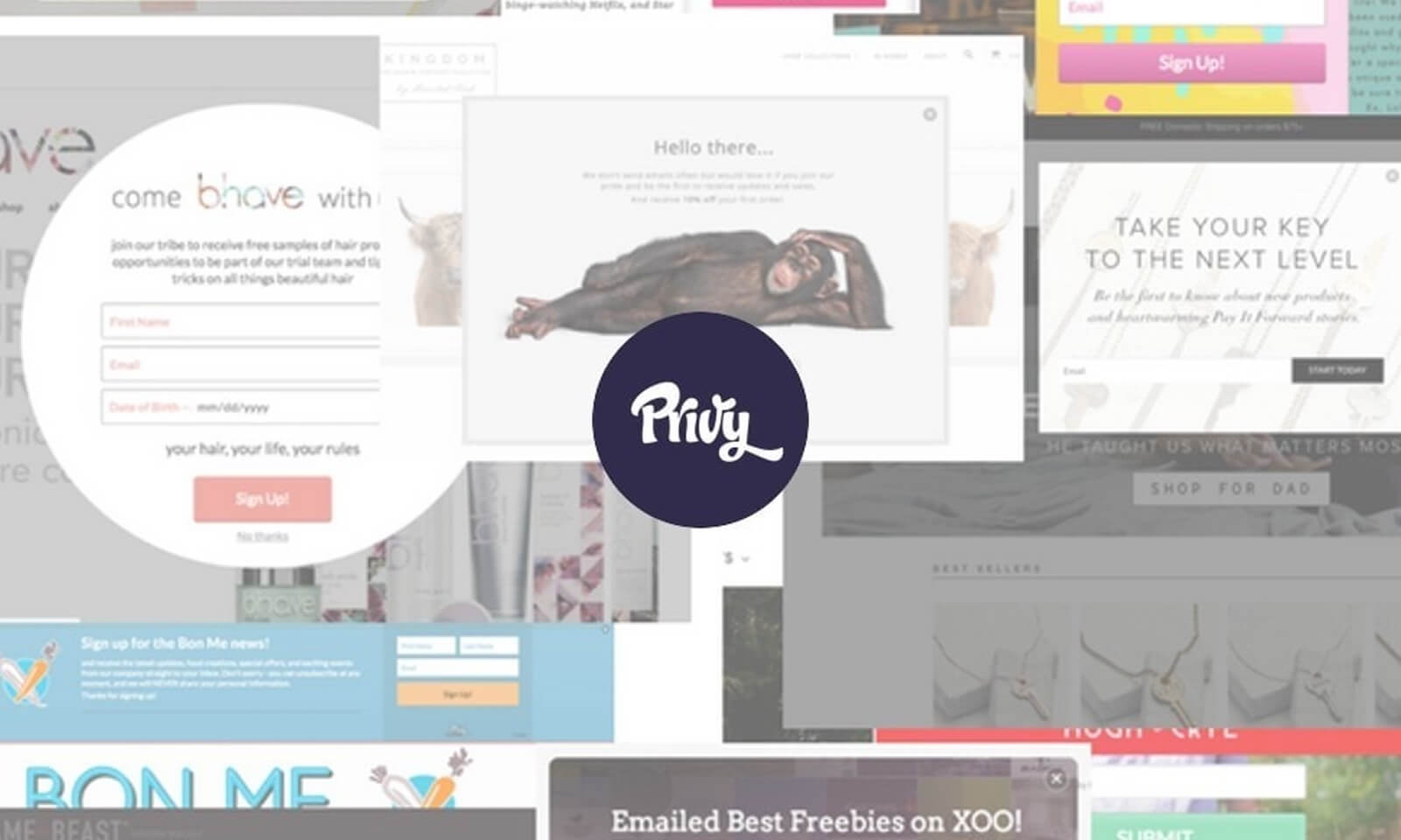 Grow Your List and Reduce Abandonment with Our New Privy Integration