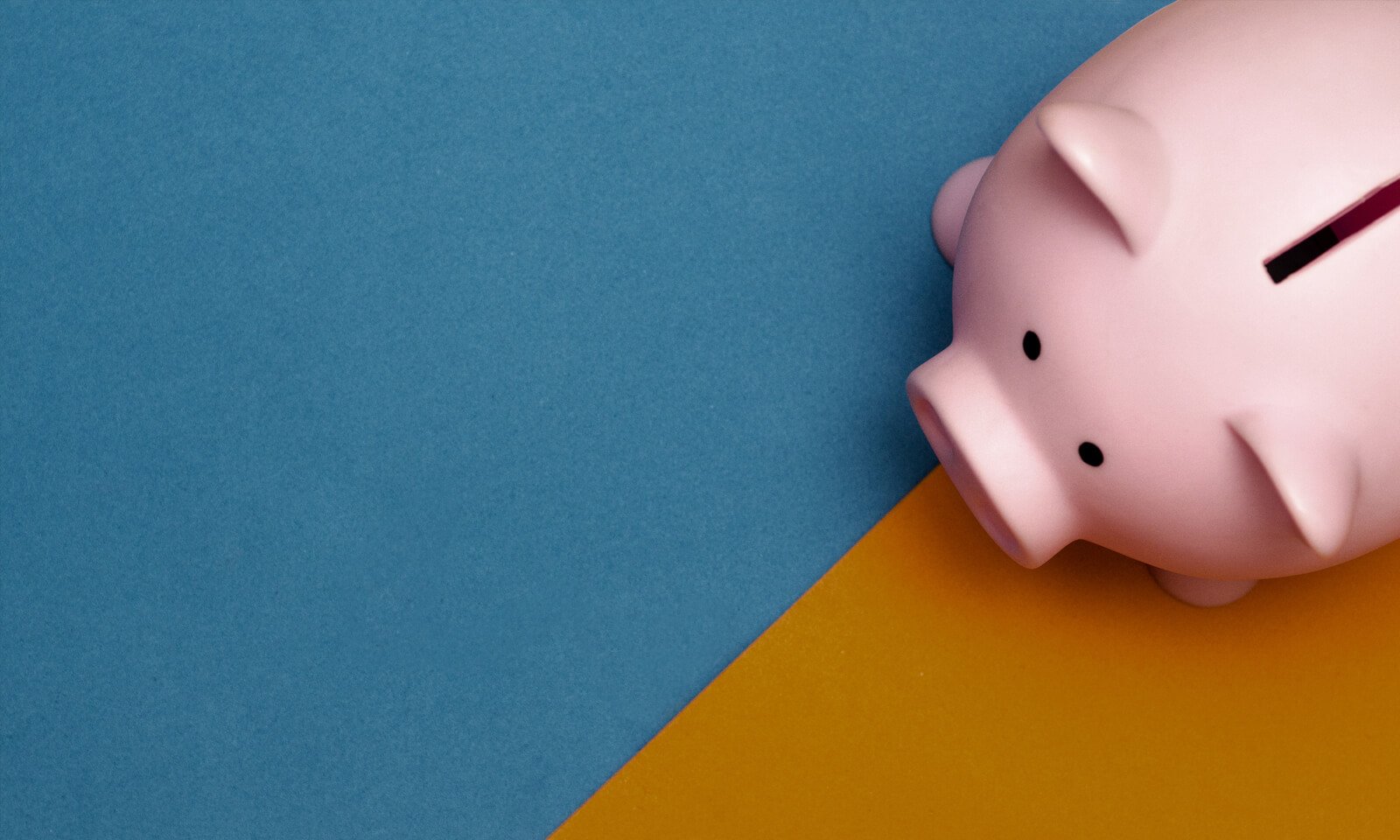 Announcement: Volusion Has ELIMINATED Transaction Fees