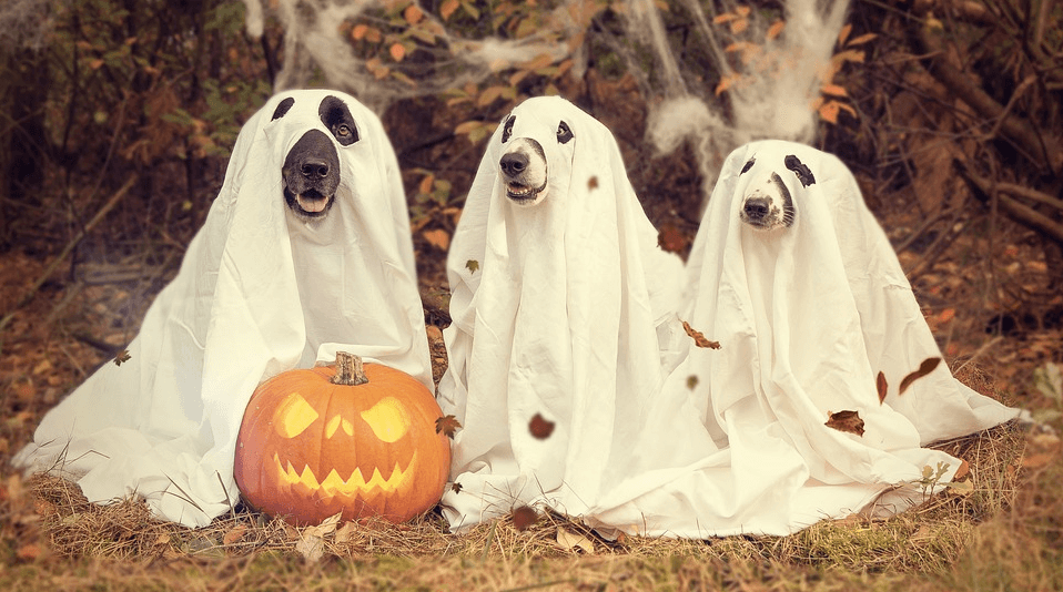 6 Tricks to Earn More with a Halloween Sale