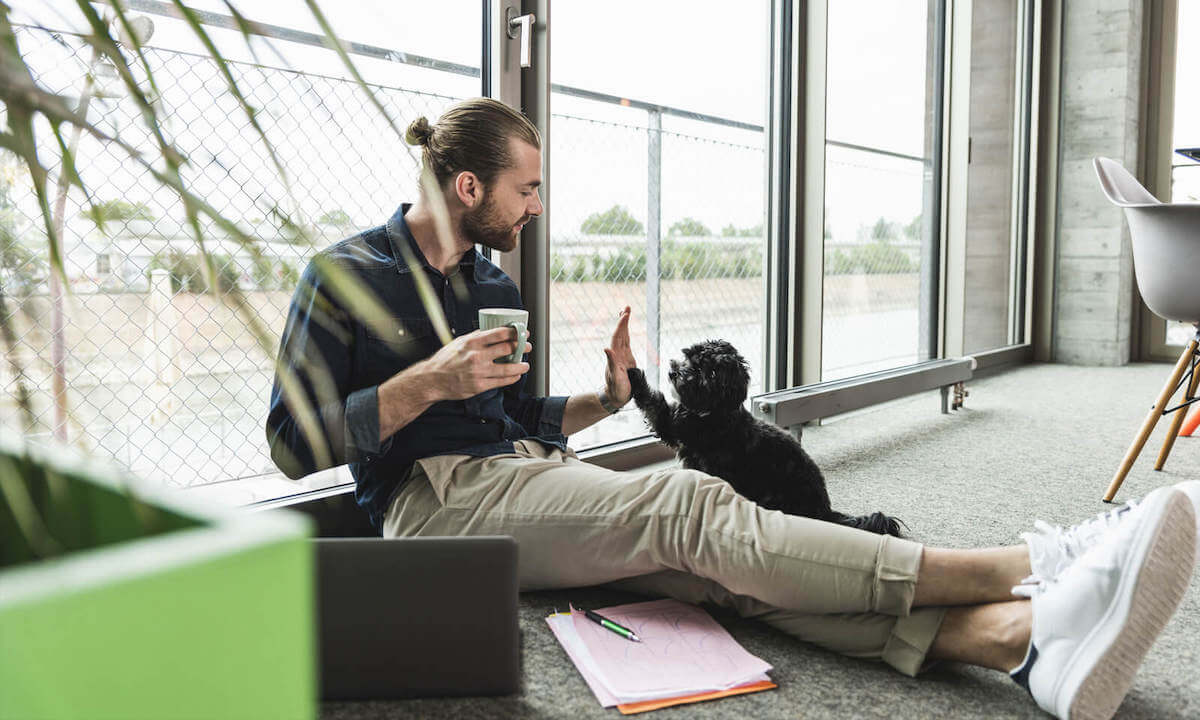 Tips for Success Series: How to Take Your Store to the Next Level