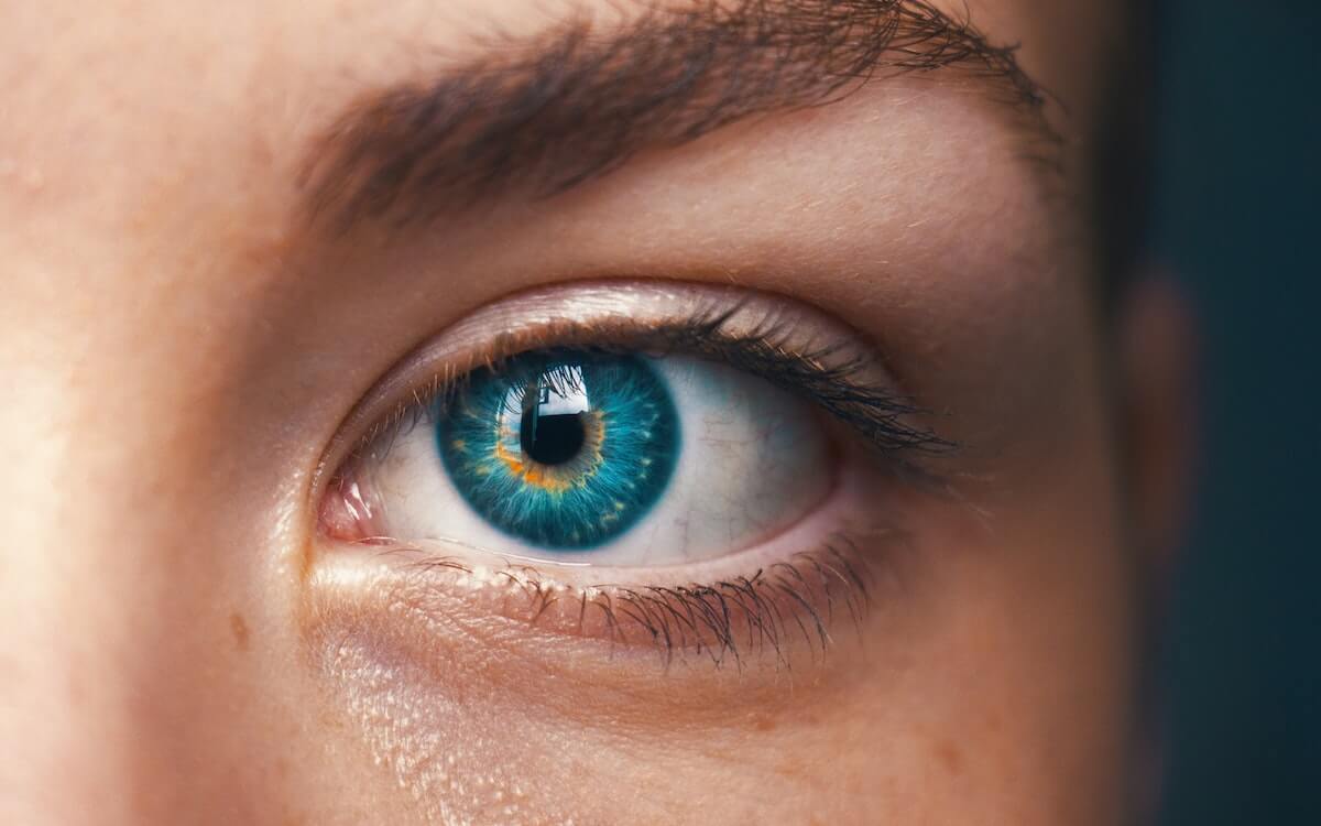How Search Engines See Your Site Images - Volusion